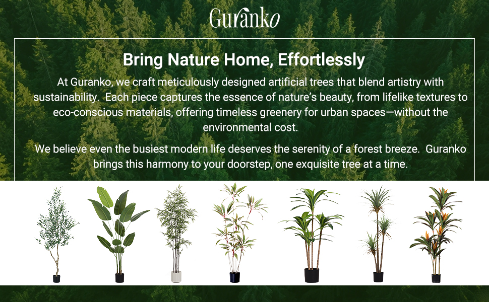 Brazilwood